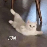 昙夜_