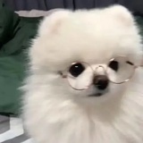 张起灵（养老中