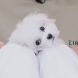 豆友232503763