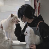 甜导
