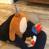 TT同学