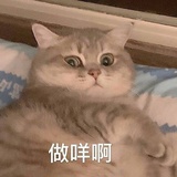 看什么看