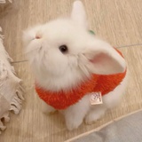 断我愚公念