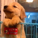 少吃零食多睡觉