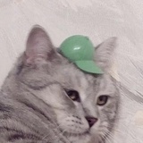 睡不醒