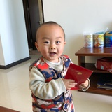 天麓书院 叶子
