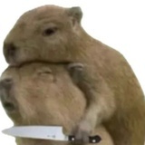 懒懒