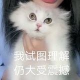 哆啦豆梦