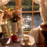 吉星高照安琪拉