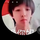 李晋晔猫子