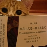 😼