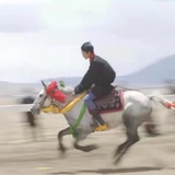 珍奇怪同学