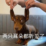 爱喝奶茶ljy