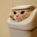 sssssd