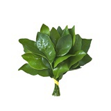 茸茸耶