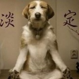 猹猹吃瓜瓜