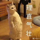LEEYO_