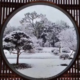 山中岁月