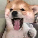 珍好.～