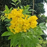 上善若水009