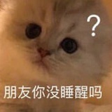 起名字好难