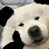 爱谁谁
