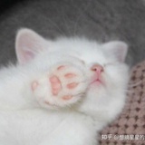 云铎在云里