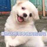 鹭哥