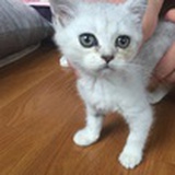 谨慎发言