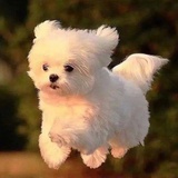 随便
