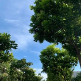 砸锅卖铁