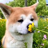 四月