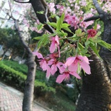 为你而来1003