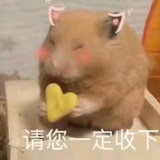 严肃的饼干君