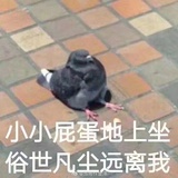 旦旦🍳