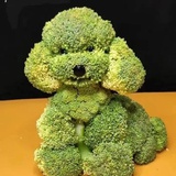 刚吃过好吃的