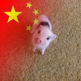 高米迪赐我力量