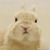 看尽世间好山水