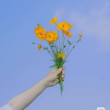 淡淡的忧伤