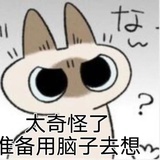 等不到一只驴