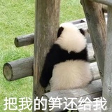 芋圆啵啵
