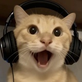 山东媳妇安宥真