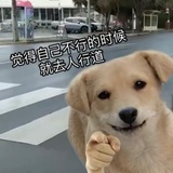 叫啥呀