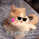 黑色幽灵