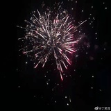 豆友233523386