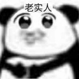 美利坚新任饭桶