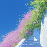 籽田花花