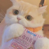 往美的路自己走