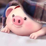 春夏秋冬