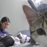 心燚心燚